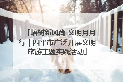 培树新风尚 文明月月行｜四平市广泛开展文明旅游主题实践活动