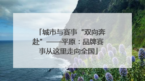 城市与赛事“双向奔赴”——平原：品牌赛事从这里走向全国