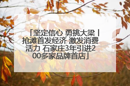 坚定信心 勇挑大梁丨抢滩首发经济 激发消费活力 石家庄3年引进200多家品牌首店