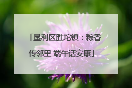 垦利区胜坨镇：粽香传邻里 端午话安康