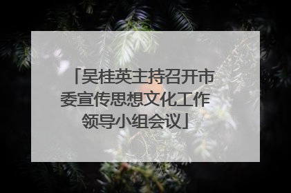 吴桂英主持召开市委宣传思想文化工作领导小组会议