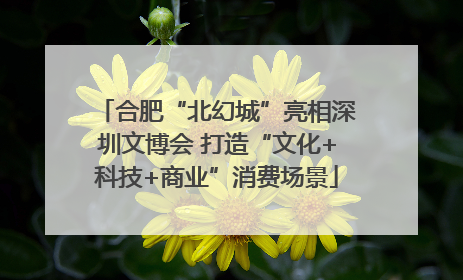 合肥“北幻城”亮相深圳文博会 打造“文化+科技+商业”消费场景