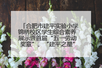 合肥市建平实验小学锦绣校区学生综合素养展示暨首届“五一劳动奖章”、“建平之星”颁奖典礼圆满举办