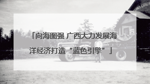 向海图强 广西大力发展海洋经济打造“蓝色引擎”