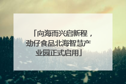 向海而兴启新程，劲仔食品北海智慧产业园正式启用