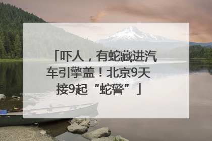 吓人，有蛇藏进汽车引擎盖！北京9天接9起“蛇警”