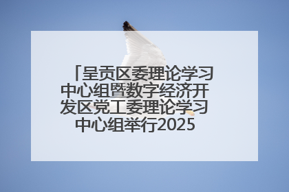 呈贡区委理论学习中心组暨数字经济开发区党工委理论学习中心组举行2025年第七次学习会议