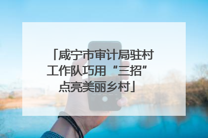 咸宁市审计局驻村工作队巧用“三招”点亮美丽乡村