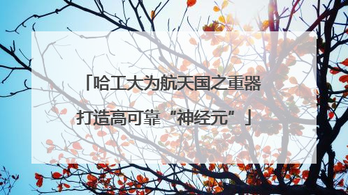 哈工大为航天国之重器打造高可靠“神经元”