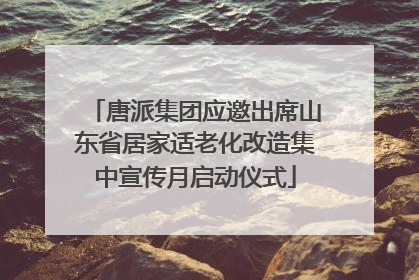 唐派集团应邀出席山东省居家适老化改造集中宣传月启动仪式