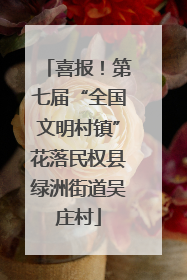 喜报！第七届“全国文明村镇”花落民权县绿洲街道吴庄村