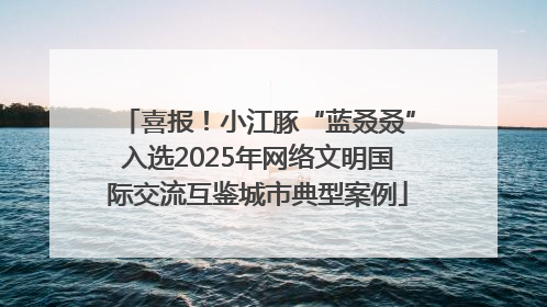 喜报！小江豚“蓝叒叒”入选2025年网络文明国际交流互鉴城市典型案例