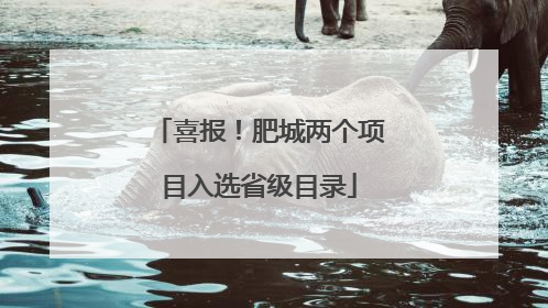 喜报！肥城两个项目入选省级目录