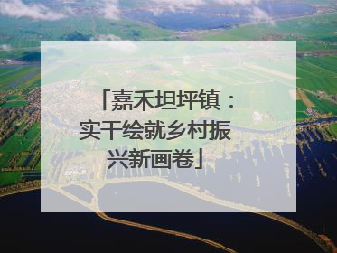 嘉禾坦坪镇：实干绘就乡村振兴新画卷