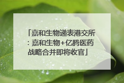嘉和生物递表港交所：嘉和生物+亿腾医药战略合并即将收官