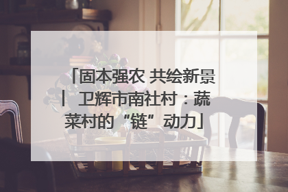 固本强农 共绘新景 ︳卫辉市南社村：蔬菜村的“链”动力