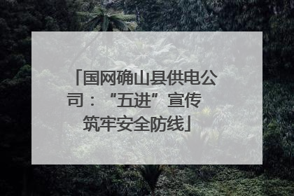 国网确山县供电公司：“五进”宣传 筑牢安全防线