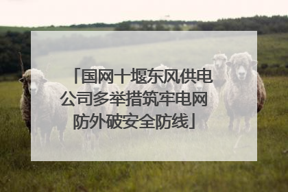 国网十堰东风供电公司多举措筑牢电网防外破安全防线