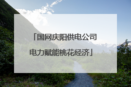 国网庆阳供电公司电力赋能桃花经济