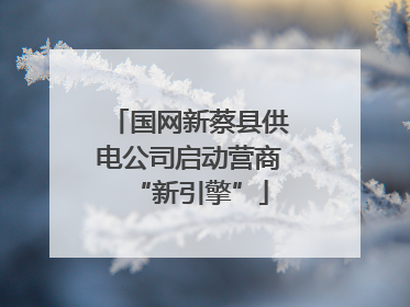 国网新蔡县供电公司启动营商“新引擎”