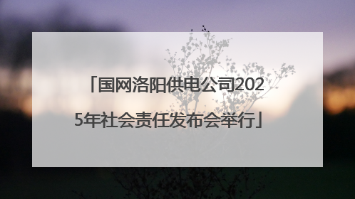 国网洛阳供电公司2025年社会责任发布会举行