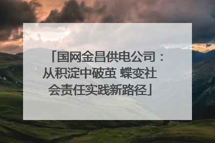国网金昌供电公司：从积淀中破茧 蝶变社会责任实践新路径
