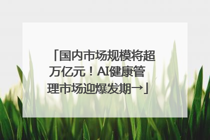 国内市场规模将超万亿元！AI健康管理市场迎爆发期→