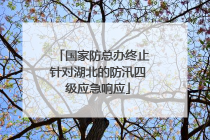 国家防总办终止针对湖北的防汛四级应急响应
