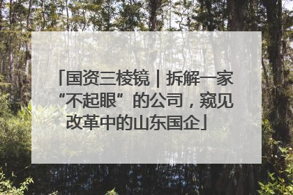 国资三棱镜｜拆解一家“不起眼”的公司，窥见改革中的山东国企