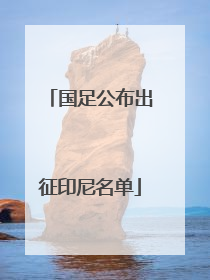 国足公布出征印尼名单