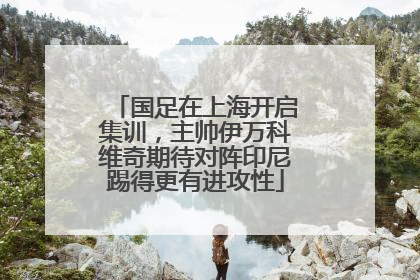 国足在上海开启集训，主帅伊万科维奇期待对阵印尼踢得更有进攻性