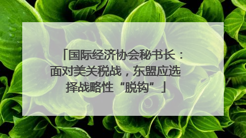 国际经济协会秘书长:面对美关税战,东盟应选择战略性“脱钩”