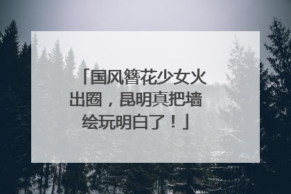 国风簪花少女火出圈，昆明真把墙绘玩明白了！