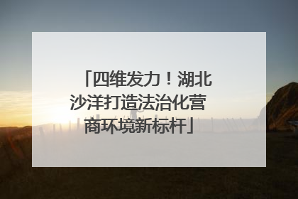 四维发力！湖北沙洋打造法治化营商环境新标杆