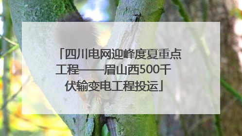四川电网迎峰度夏重点工程——眉山西500千伏输变电工程投运