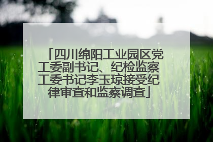 四川绵阳工业园区党工委副书记、纪检监察工委书记李玉琼接受纪律审查和监察调查