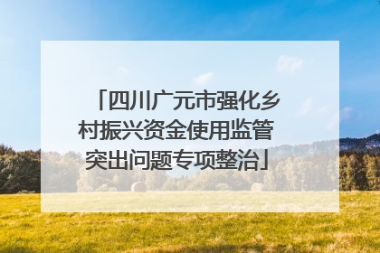 四川广元市强化乡村振兴资金使用监管突出问题专项整治