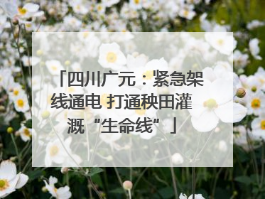 四川广元：紧急架线通电 打通秧田灌溉“生命线”