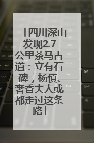 四川深山发现2.7公里茶马古道：立有石碑，杨慎、奢香夫人或都走过这条路