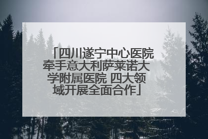 四川遂宁中心医院牵手意大利萨莱诺大学附属医院 四大领域开展全面合作