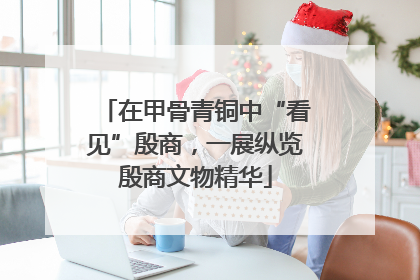 在甲骨青铜中“看见”殷商，一展纵览殷商文物精华