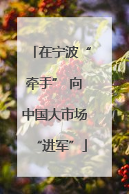 在宁波“牵手” 向中国大市场“进军”