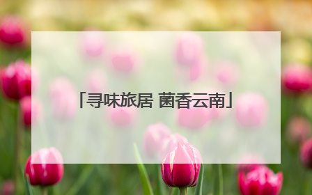 寻味旅居 菌香云南