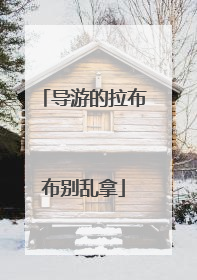 导游的拉布布别乱拿