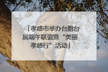 孝感市举办台胞台属端午联谊暨“美丽孝感行”活动