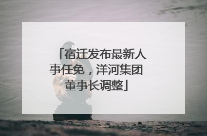 宿迁发布最新人事任免，洋河集团董事长调整