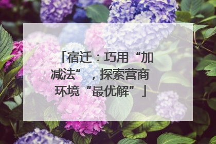 宿迁：巧用“加减法”，探索营商环境“最优解”