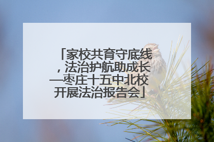 家校共育守底线，法治护航助成长—枣庄十五中北校开展法治报告会