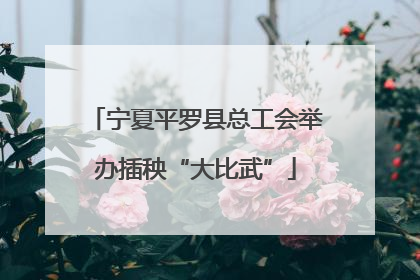 宁夏平罗县总工会举办插秧“大比武”