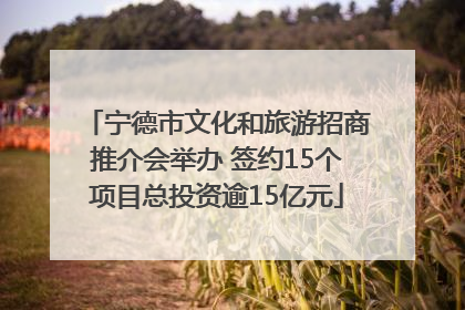 宁德市文化和旅游招商推介会举办 签约15个项目总投资逾15亿元